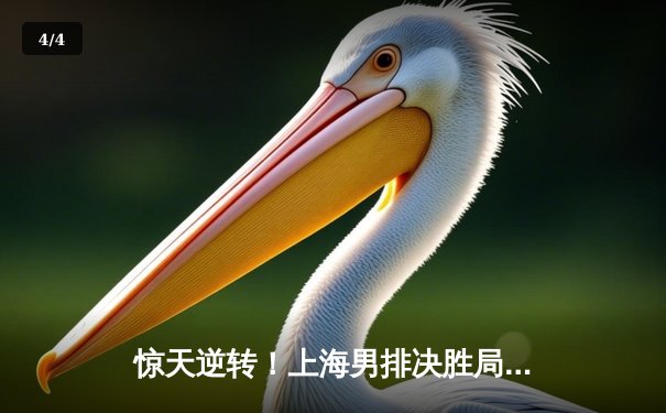 惊天逆转！上海男排决胜局17-15险胜北京，勇夺联赛冠军 - 4